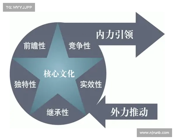 如何有效建设与管理自己的王国从制度到文化的全面解析与实用指南 如何有效建设与管理自己的王国从制度到文化的全面解析与实用指南