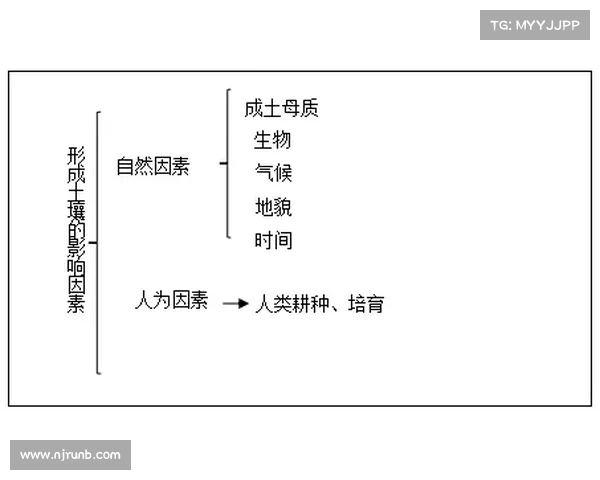 S22赛季冠军预测的五大关键因素及其影响分析 S22赛季冠军预测的五大关键因素及其影响分析