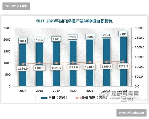 如何全面评估卢库米的转会价值与未来发展潜力